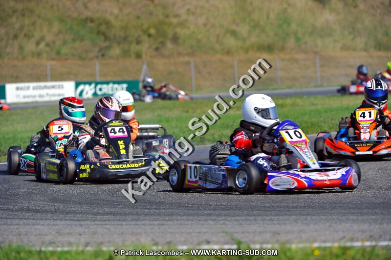 DSC_ (1236).jpg